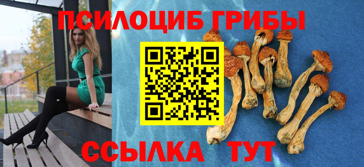 Альфа ПВП Выборг