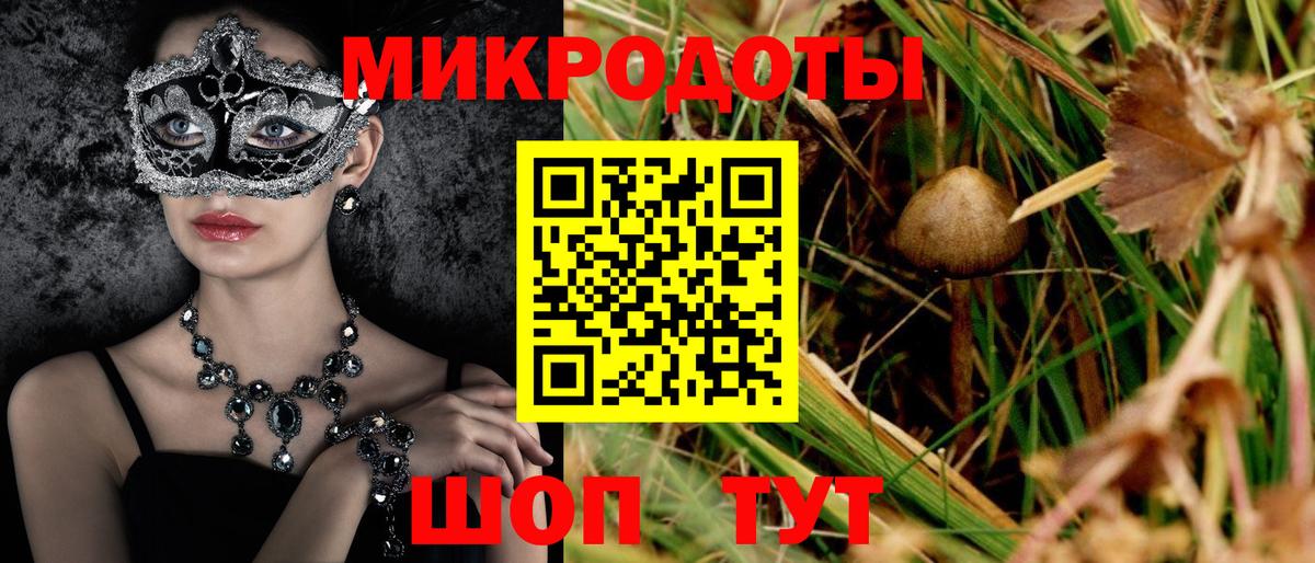 наркота  Псилоцибиновые грибы Psilocybine cubensis  Вход с VPN  Выборг  Галлюциногенные грибы GOLDEN TEACHER 